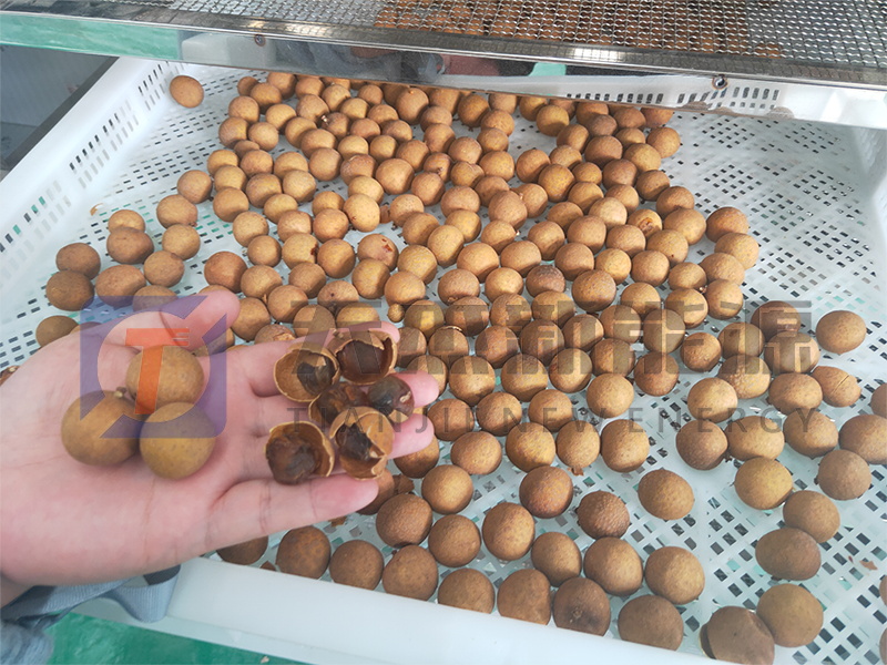 天杰新能源?；葜蔟堁酆娓蓹C(jī)開機(jī)大吉